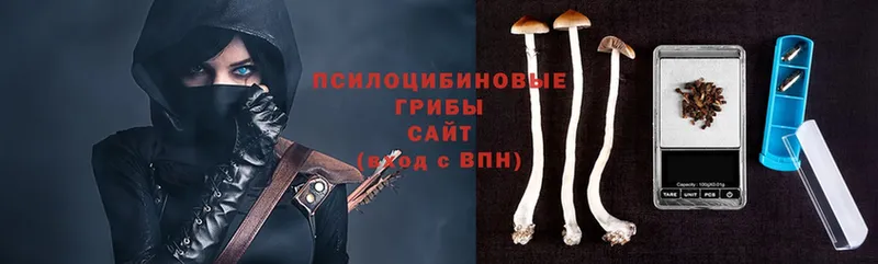 Галлюциногенные грибы Magic Shrooms  Венёв 